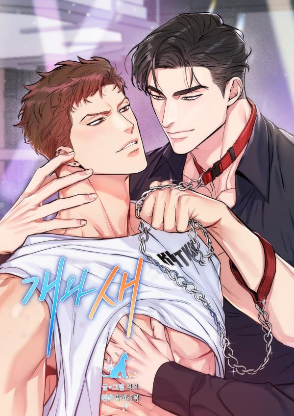 Reading Manhwa Dog and Bird