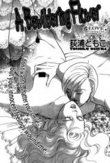 Reading Manga A Bewildering Flower