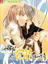 Reading Manhua A World Ruled by Cats