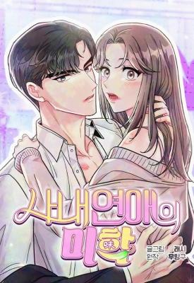 Reading Manhwa Aesthetics of the Office Romance
