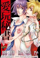 Reading Manga Aigan Hisho