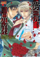 Reading Manga Aigan Kyoudai