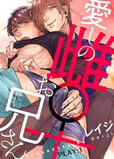 Reading Manga Aishi no Mesu Oni-san