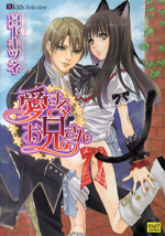 Reading Manga Aisuru Oniichan