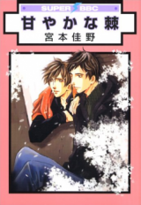 Reading Manga Amayakana Toge