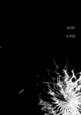 Reading Manga D.Gray-Man dj - Melancholic