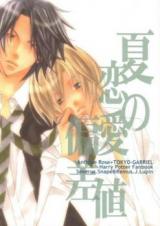 Reading Manga Harry Potter dj - Natsu no Renai Hensachi