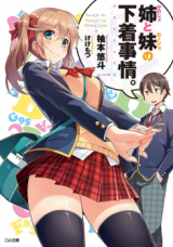 Reading Manga Ane (Kanojo) to Imouto (Kanojo) no Shitagi Jijou. (Novel)
