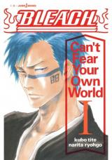 Reading Manga Bleach: Can't Fear Your Own World (Novel)