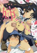 Reading Manga Ane Anthology Comic