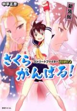 Reading Manga Street Fighter Zero 2