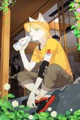 Reading Manhua Wolf Butler and His Cat Master