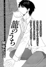 Reading Manga Kago no Uchi