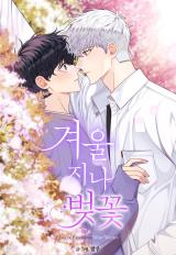 Reading Manhwa Cherry Blossoms After Winter