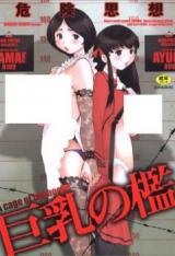 Reading Manga Kyonyuu no Ori