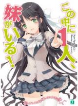 Reading Manga Kono Naka ni Hitori, Imouto ga Iru! (Novel)