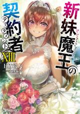 Reading Manga Shinmai Maou no Testament (Novel)
