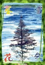 Reading Manga Touhou dj - Spring Snow and Flowery Winter