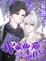 Reading Manhua Wojia De Mao Xiang Wo Gaobaile!
